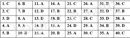 Đề thi học kì 1 Tiếng Anh 12 Global Success - Đề số 1 1 1