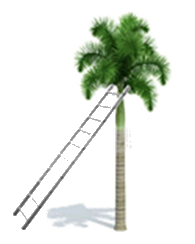 Đề thi giữa kì 1 Toán 9 - Đề số 5 0 3