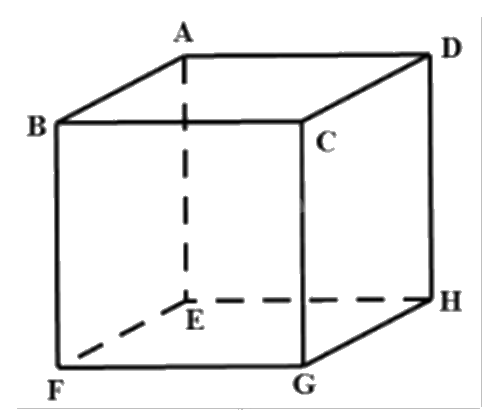 Đề thi học kì 1 Toán 12 Chân trời sáng tạo - Đề số 4 1 5